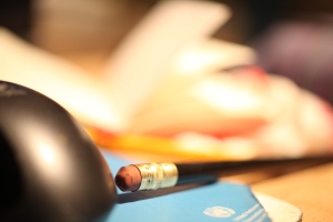 Pencil and Mouse - photo by Jennifer Dean